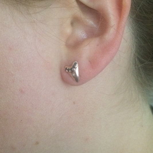 Armament Collection - Silver Shark Tooth Studs