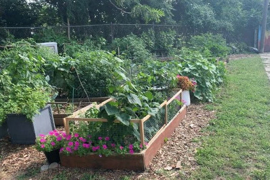 About the Waldo Ave Community Garden