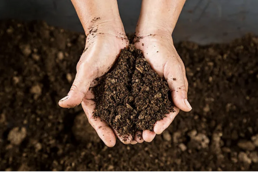 Compost at the Garden